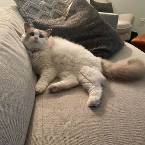 Meet your Posher, Erika